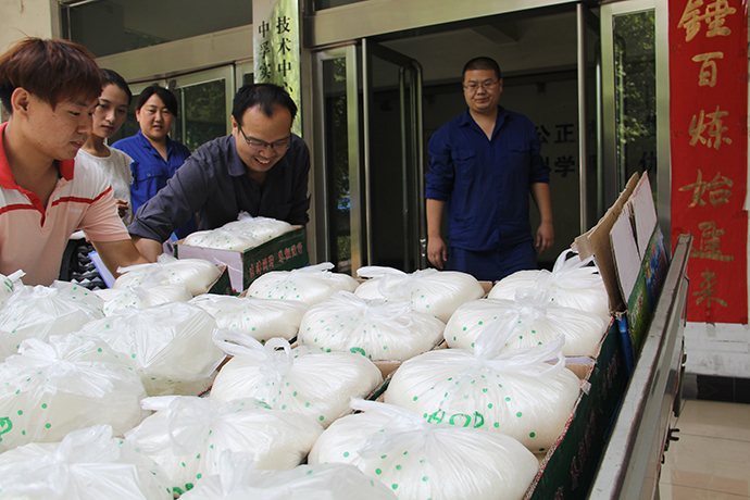 明博体育app苹果