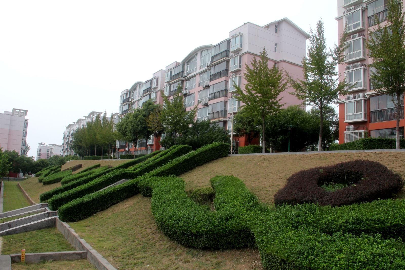 明博体育app苹果