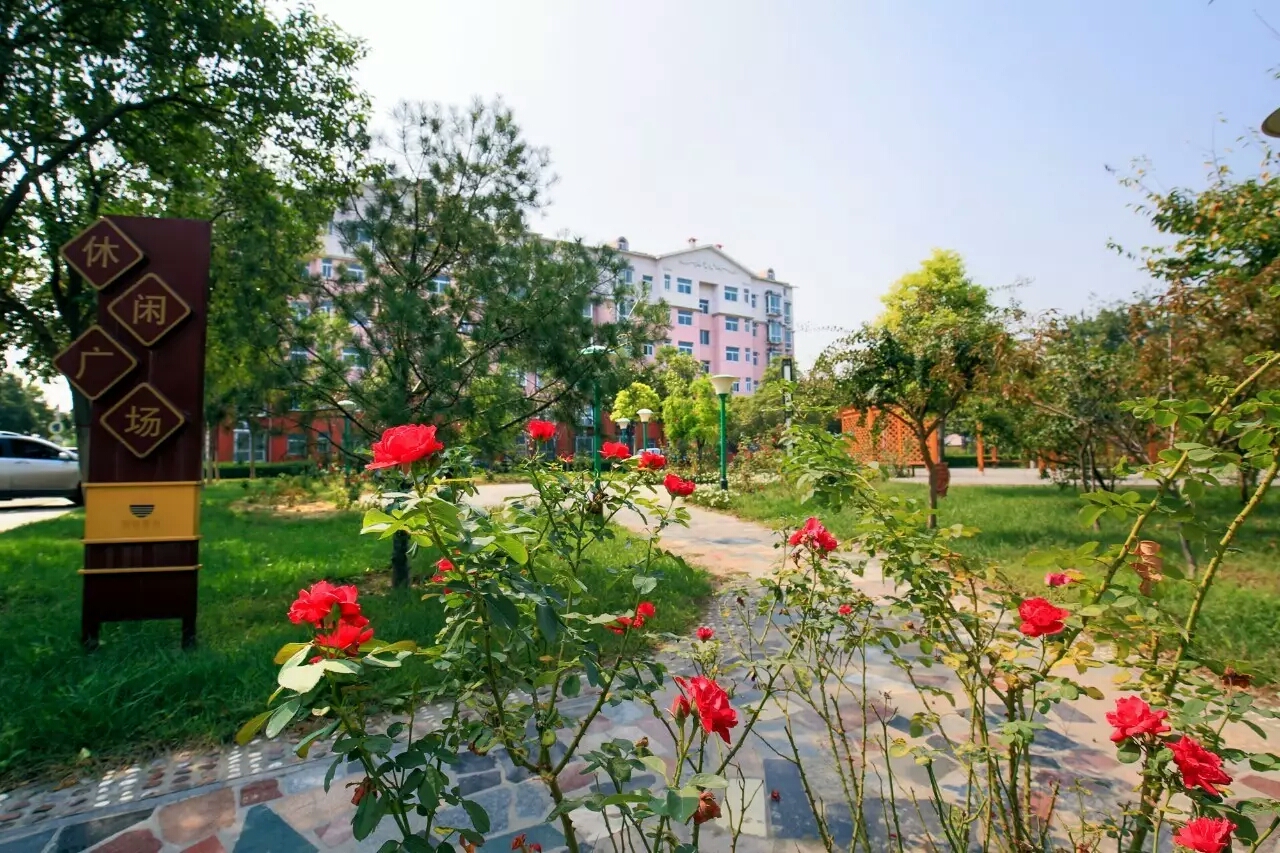 明博体育app苹果