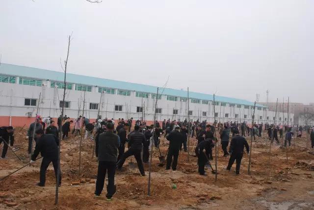 明博体育app苹果