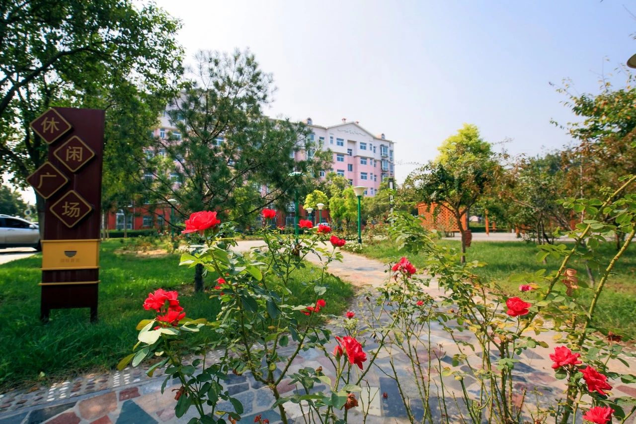 明博体育app苹果