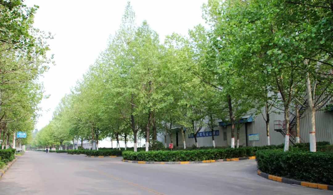 明博体育app苹果