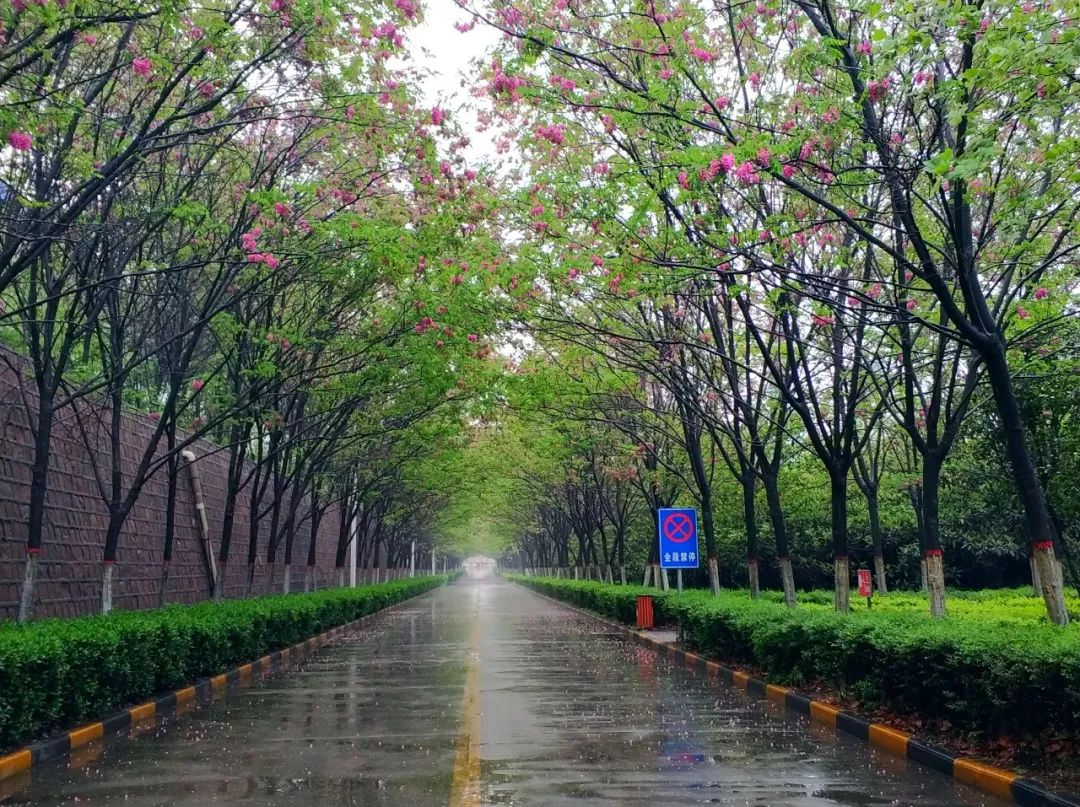 明博体育app苹果