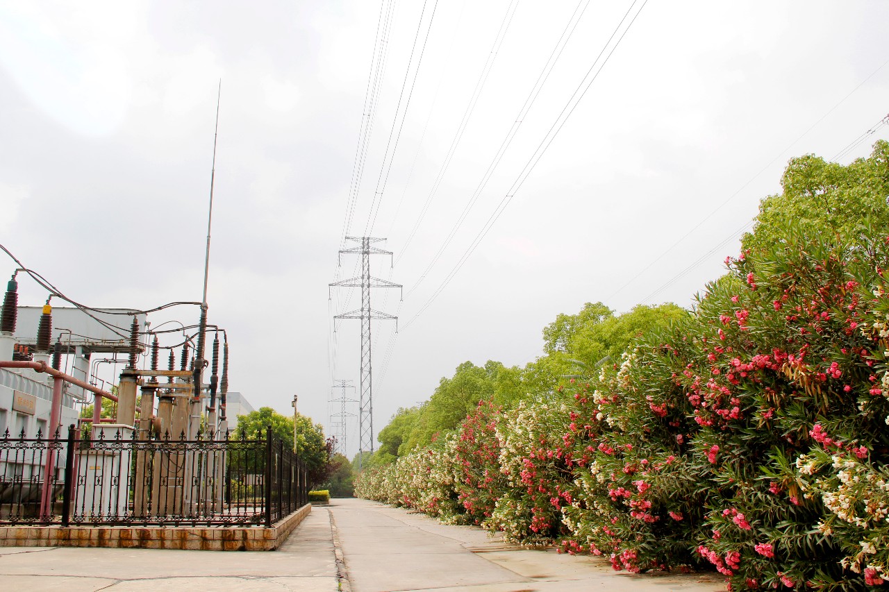 明博体育app苹果