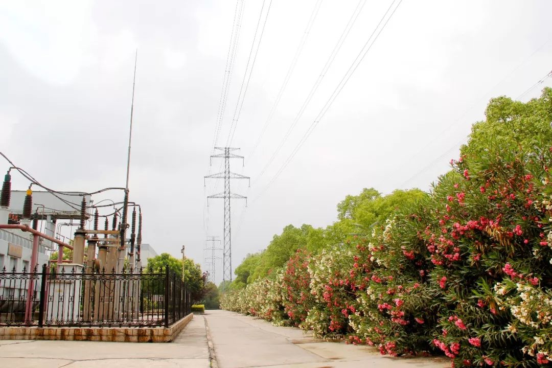 明博体育app苹果