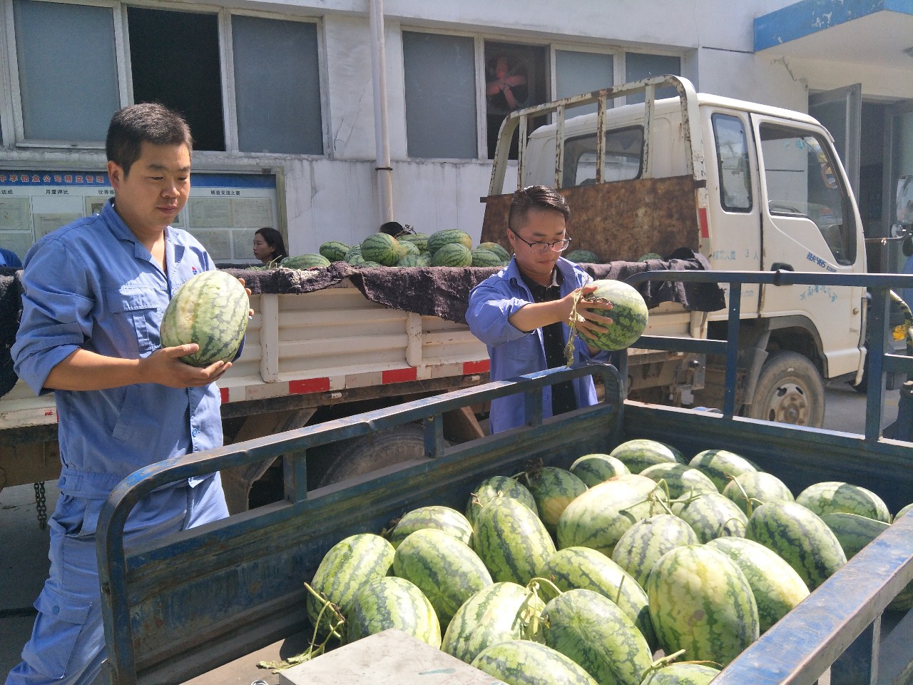 明博体育app苹果