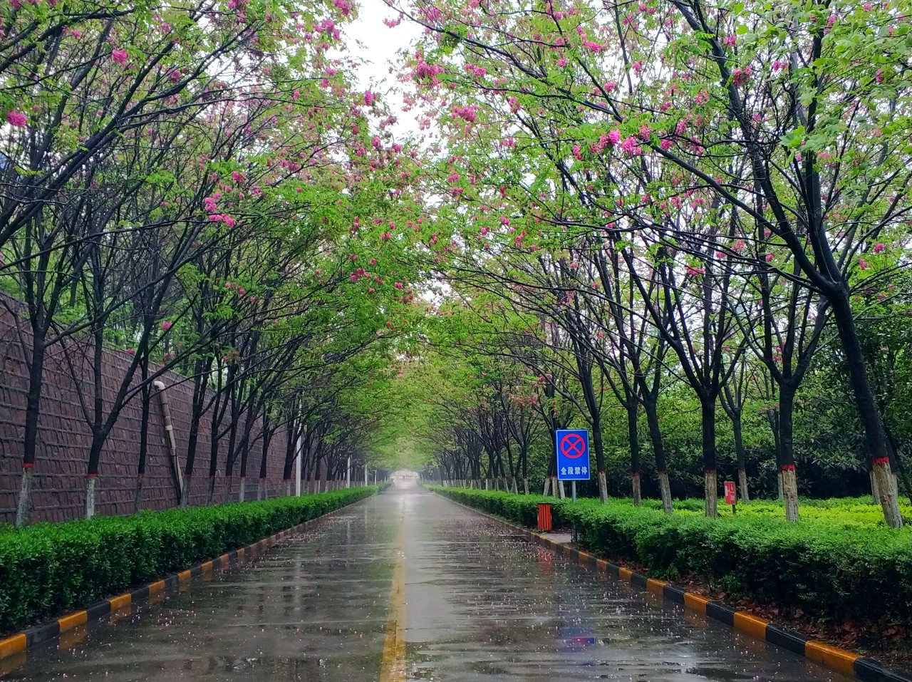 明博体育app苹果