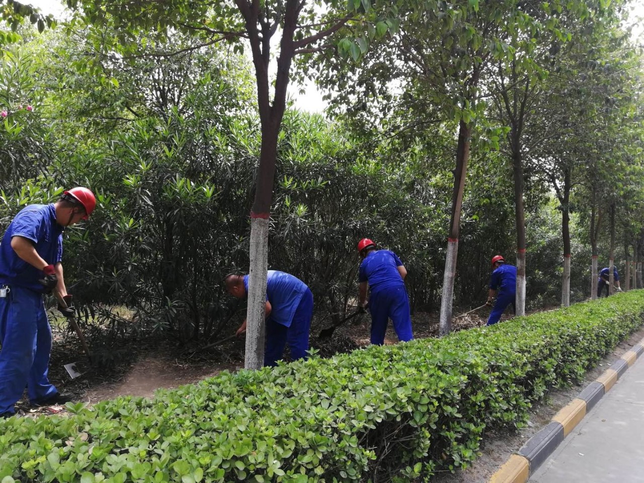 明博体育app苹果