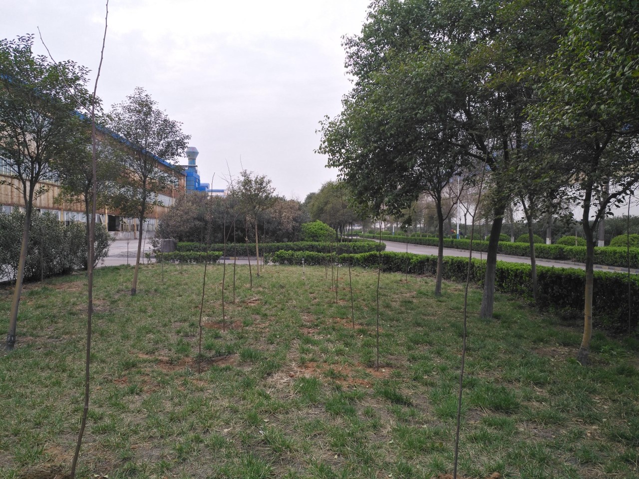 明博体育app苹果