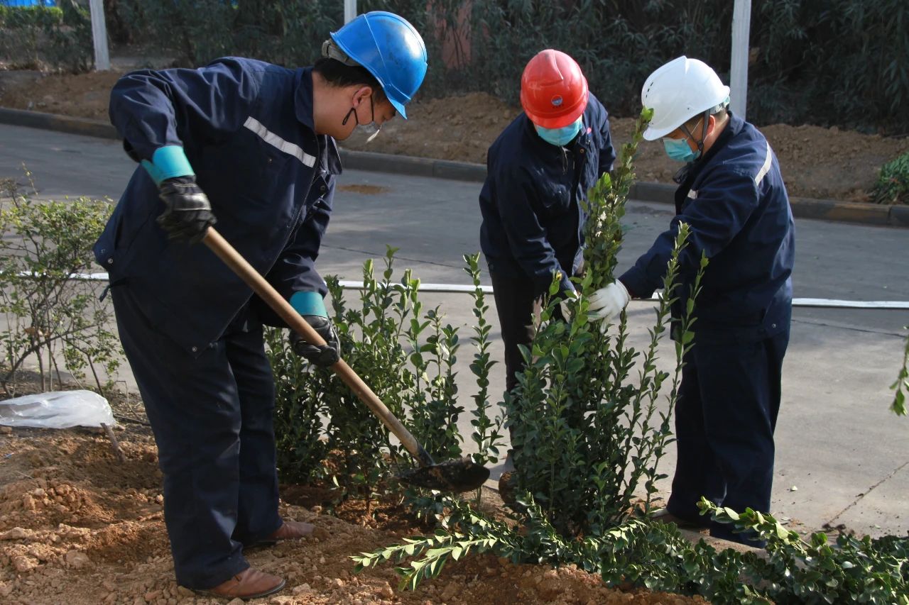 明博体育app苹果