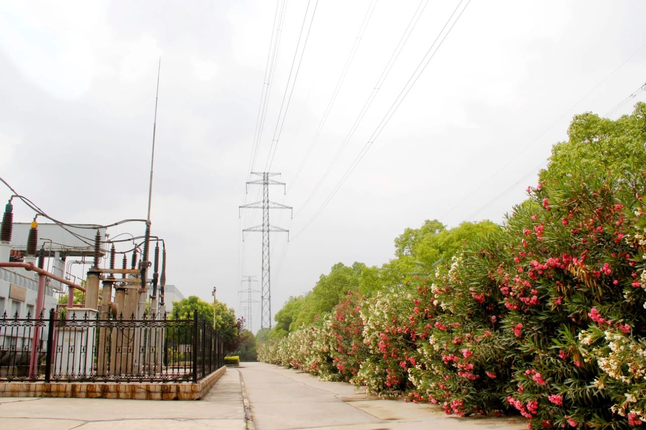 明博体育app苹果