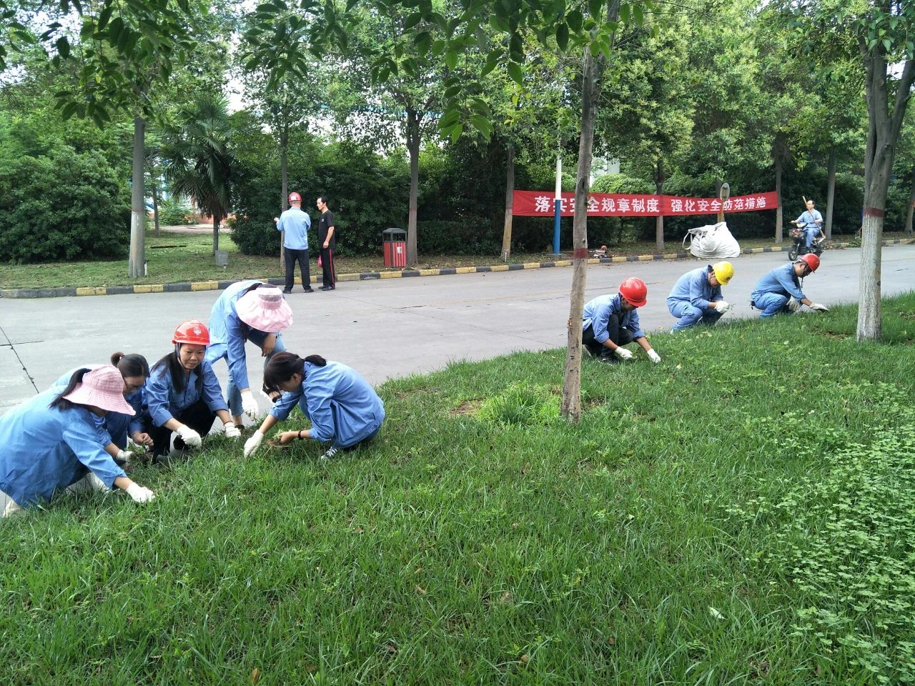 明博体育app苹果