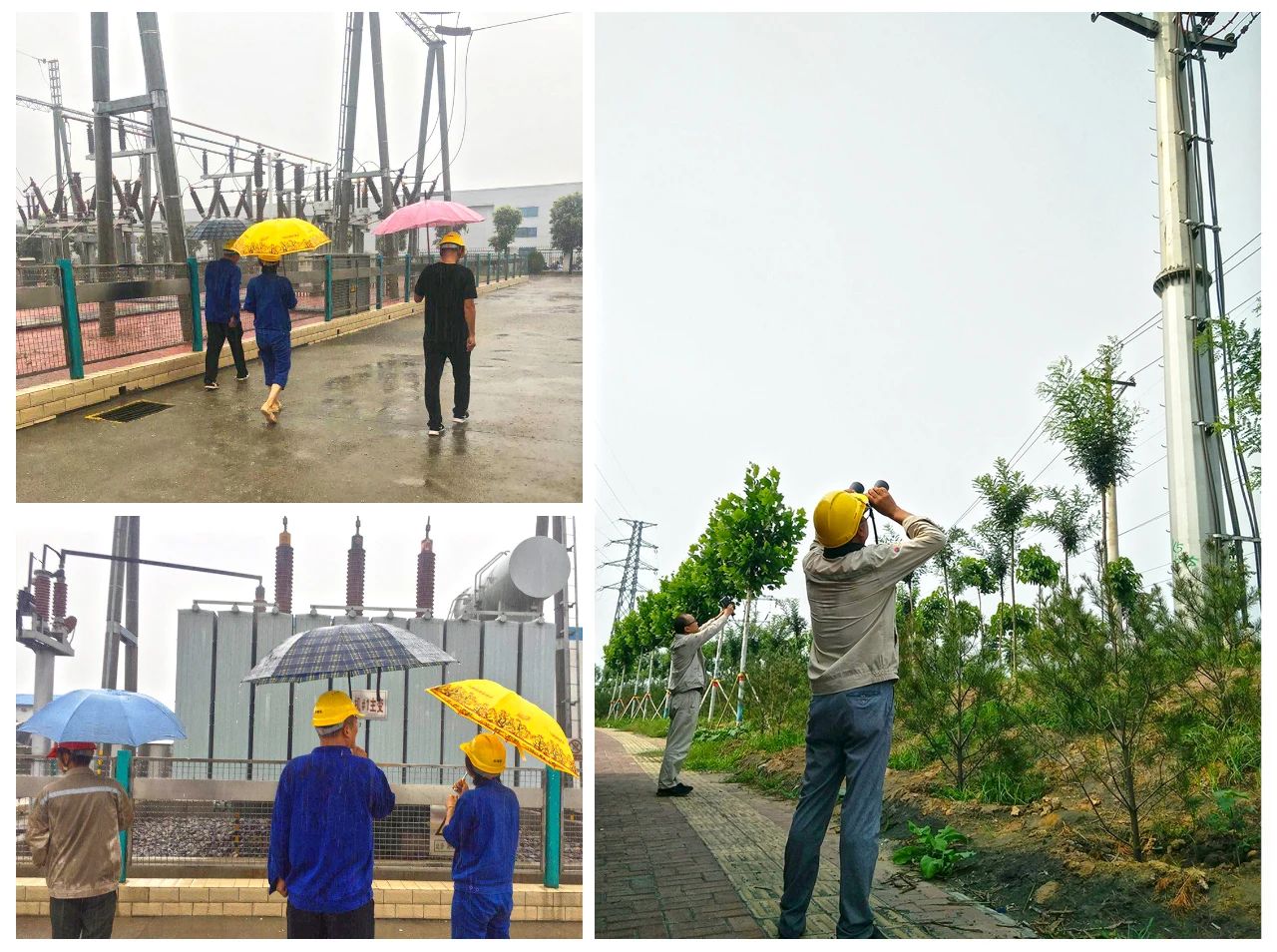 明博体育app苹果