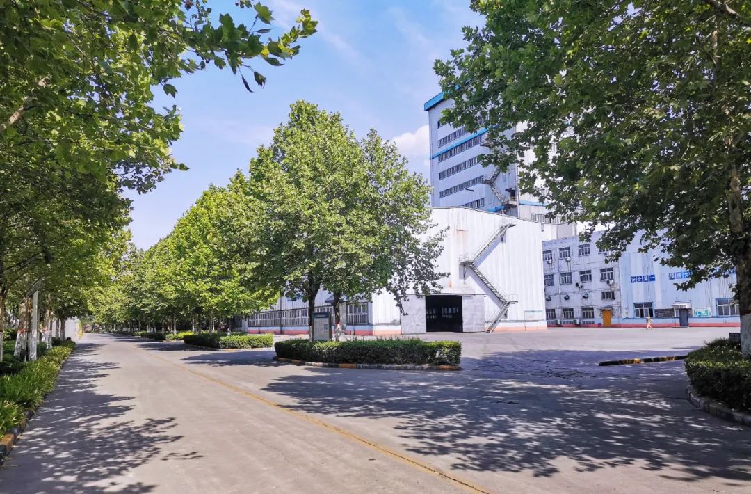 明博体育app苹果