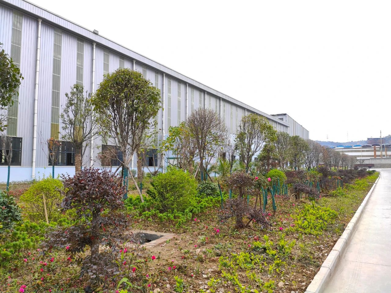 明博体育app苹果